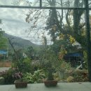 임이랑 농장 이미지