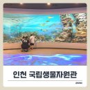 채움푸드 | 인천 아이와 실내 무료 체험! 국립생물자원관 생생채움 &amp; 푸드코트 후기