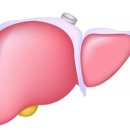 용담의원 이미지