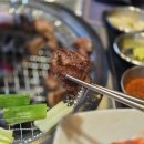 삼삼회관 - 충주시 형설로 95 | [인계동맛집] 23년 노포 고기집, 너구리회관 솔직후기 숯불고기 두껍이 한우육회 24시 술집 주차