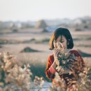 시화호수로 | 갈대 명소 BEST5 (추천, 후기, 정보)