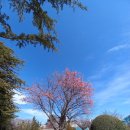 진하한의원 이미지