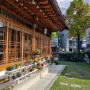 두번째 금성녹두 삼계탕 이미지