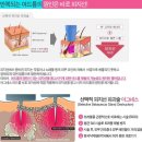아그네스 이미지