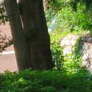 딱따구리PC방 이미지