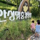 안성맞춤캠핑장 | 안성맞춤캠핑장 아이와 오토캠핑장 A10 후기 첫캠핑준비물 명당 바닥분수