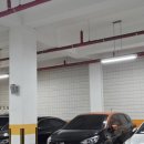 슈가바스 이미지