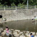 진밭골산림욕장 | 진밭골야영장&amp;진밭골산림욕장(두번째후기)