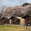 라온글램핑 | 전남 글램핑 추천 담양 라온글램핑 4인 기준