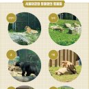 고개너머 이미지