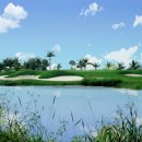 루비트리 이미지