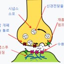 도파민