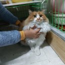 포항동물병원 이미지