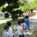 YMCA어린이집 이미지