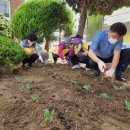 성산구 ⓒ-18 이미지