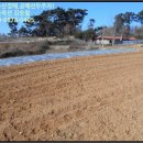 출포리 마을회관 이미지