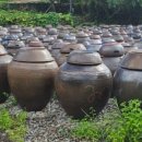 데일리팡 이미지