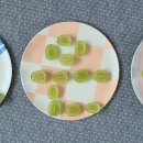 조은농장2 이미지