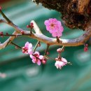 송학행정사사무소 이미지