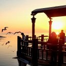 제부낙조 이미지