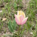 굿센한의원 | 캐시닥 용돈 퀴즈 정답(4월 27일)