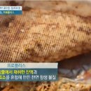 구내염과 대상포진에 프로폴리스가 대박인 5가지 효능 이미지