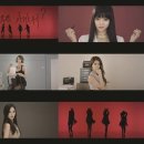 스피카.S 카카오 검색결과