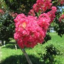 내고향서천 이미지