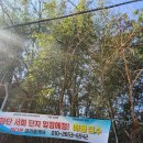 5단지스타힐스공인중개사사무소 이미지