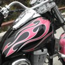 데이스타 이미지