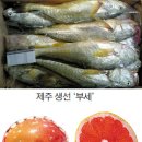 자몽마켓