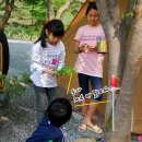 홍가네어망 | 홍가네 캠핑 스토리 : 영월 정든 캠핑장(2014.05.02~05) - 여름 맞이 캠핑