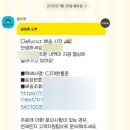 [젤리캣] 🧸바톨로뮤 베어 M사이즈