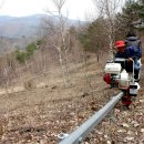 김종섭농장 이미지