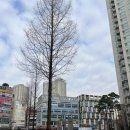 래미안메가트리아상가앞 이미지