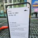 무인17 | &#34;돌핀웨일&#34; 아기옷 무인가게 내돈내산 구매 후기