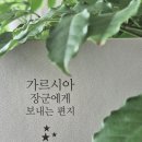흥전1리 이미지