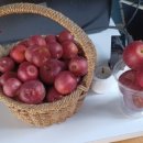 용우농장 이미지