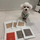 괴산미향 이미지