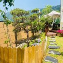 까사구스토 이미지