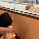 시엘 산후조리원 이미지