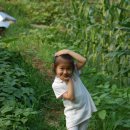 혜연농장 이미지