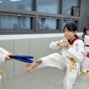 서면태권도장 이미지