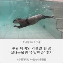 수원-1355 | [수원 아이랑] 수원 실내동물원 '수달앤쥬'! 아이와 동물 먹이주기 체험 후기