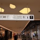 월드 D.C | 잠실 롯데월드몰 아쿠아리움 아이랑 방문후기, 6살 아들이 벨루가 보다 좋아한것(주차 팁)