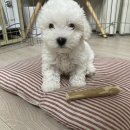 허밍코퍼레이션