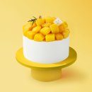 카톡 투썸플레이스 망고생 3.8＞2.83 쿠폰+카카오페이혜택가할인 이미지