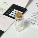 금    병 | 반떼 BANTE 소소한 금액으로 시작하는 금테크 콩알큼 59차 공구참여 내돈내산 후기