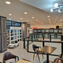 러블리독 이미지