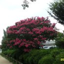 성주군보건소 이미지